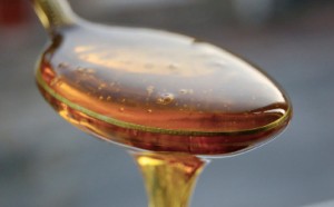 agave nectar